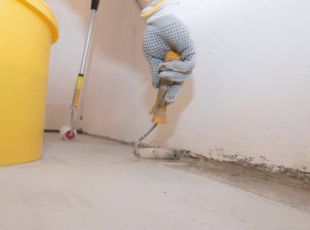 Best Pest Prevention Services  in Albany, WI